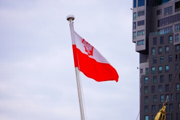 Flaga Polski i godło © Adam