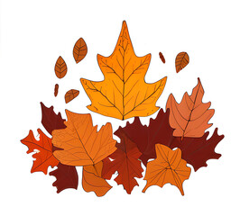 Obraz premium Colorful autumn maple leaves scattered on the ground clipart illustration of traditional autumn leaves for postcards.generative ai