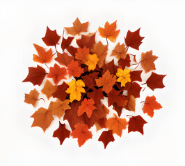 Colorful autumn maple leaves scattered on the ground clipart illustration of traditional autumn leaves for postcards.generative ai