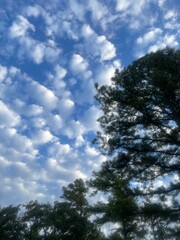 Obraz premium Country Sky