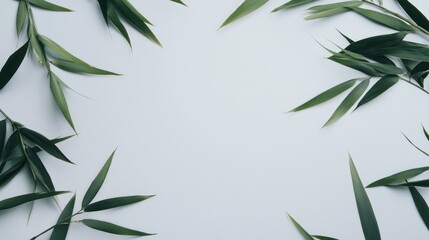 Fototapeta premium bamboo leaves frame with empty white space at the center of the frame