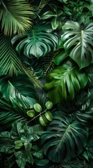 Lush Tropical Greenery with Soft Light