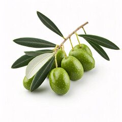 fresh green olives with leaves isolated on white background