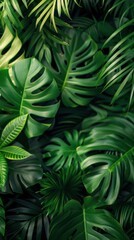 Serene Jungle Scene with Dense Leaf Canopy