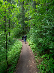 Trail along Scropoasa lake in Bucegi mountains, Romania