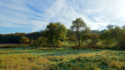 Herbstmorgen