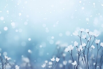 Nature background nature flower snow.