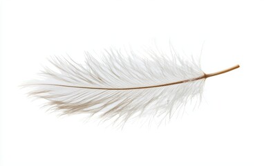 Obraz premium A detailed close-up of a dandelion seed floating gently in the air, isolated on a white background