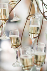 Celebration Champagne 