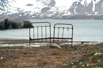 Svalbard. Old bed.