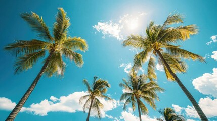 Caribbean palm trees swaying in the breeze with a wide sky for copy space