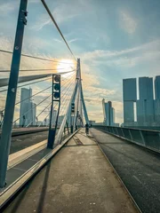 Zwanenbrug of Erasmusbrug Rotterdam Netherlands