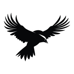 Obraz premium Black Silhouette of Bird in Flight with Spread Wings Vector