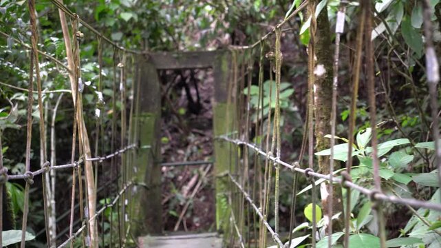 wooden bridge in the forest valle de anton