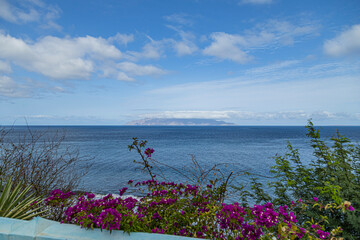 Fogo Villa, Volcano Island, flowers on the beach View from the boat of Brava Island, Cabo Verde