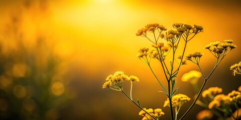 Obraz premium Image of a yellow flower plant in outer space