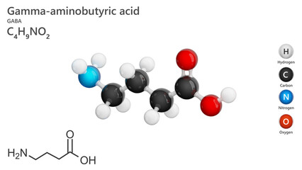 Molecule of gamma-aminobutyric acid (GABA). C4H9NO2. The main role of GABA is to reduce the excitability of neurons throughout the nervous system. White background. 3d illustration