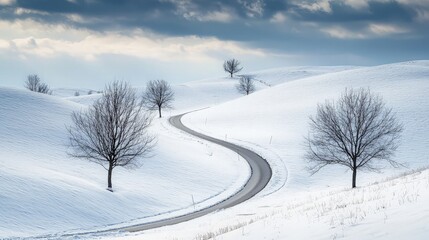 A winding road snakes through a snowy landscape, with bare trees lining the path and dramatic clouds overhead.