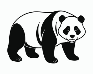 Giant panda illustration