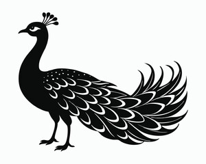 Fototapeta premium Peacock silhouette illustration