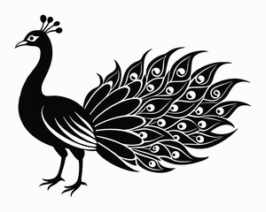 Peacock silhouette illustration