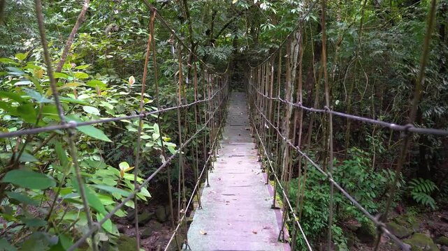 wooden bridge in the forest valle de anton