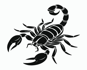 Scorpion vector art