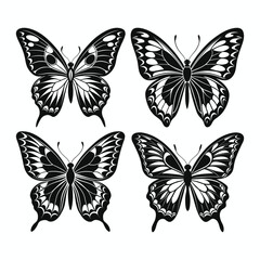Butterfly vector set illustration