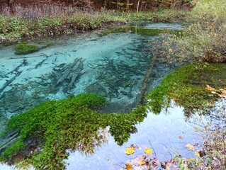 Clear mountain river in fall forest. Beautiful wild and colorful landscape.