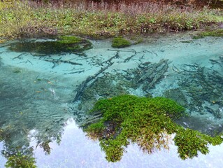 Clear mountain river in fall forest. Beautiful wild and colorful landscape.