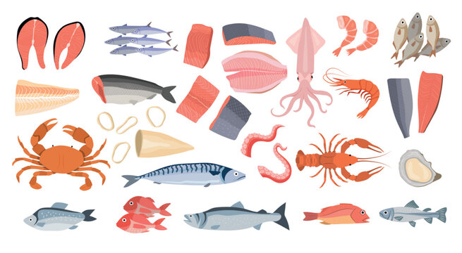 Seafood set. Water life fishes oyster for restaurant shellfish marine products recent vector seafood pictures top view