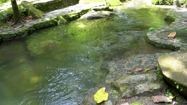 water flowing in the forest valle de anton