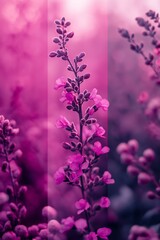 Fototapeta premium A close-up of pink flowers with a soft blurred background, highlighting the beauty and tranquility of nature.