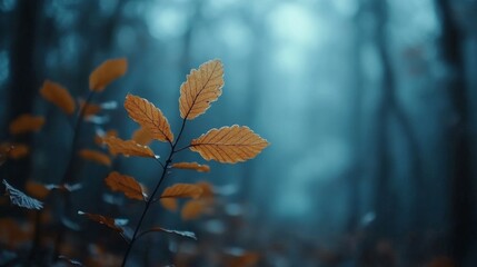 Autumn Leaves in Mystical Forest