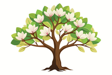 Magnolia tree Isolated flat vector illustration 