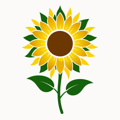 sunflower isolated on white background