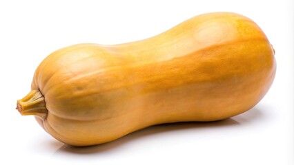 Fresh butternut squash cutout isolated on white background, healthy organic produce macro
