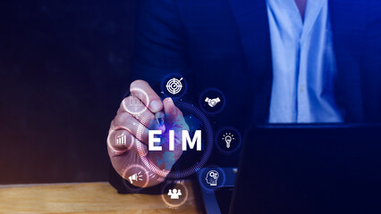 EIM Enterprise information management system, EIM Global Network with Analyzing Technological Data, Efficient Information Management, Network Connection.