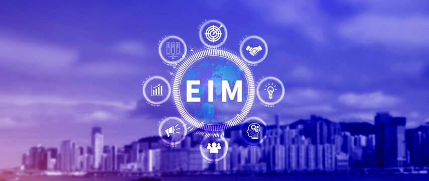 EIM Enterprise information management system, EIM Global Network with Analyzing Technological Data, Efficient Information Management, Network Connection.