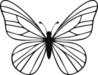 black and white butterfly