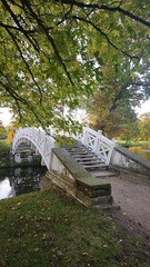 Fototapeta premium Charming White Bridge in Wörlitzer Park