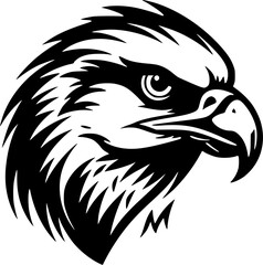 Fototapeta premium Falcon | Black and White Vector illustration