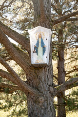 Image of the Virgin of Garabandal, adorning the pine trees where the Virgin appeared to the children of Garabandal