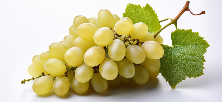 Grappolo d'uva su sfondo bianco