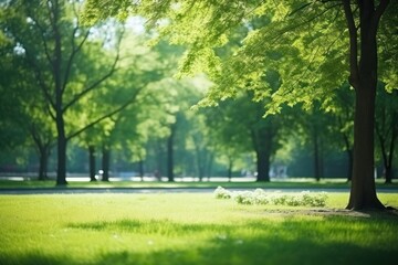 Fototapeta premium Green park landscape outdoors.
