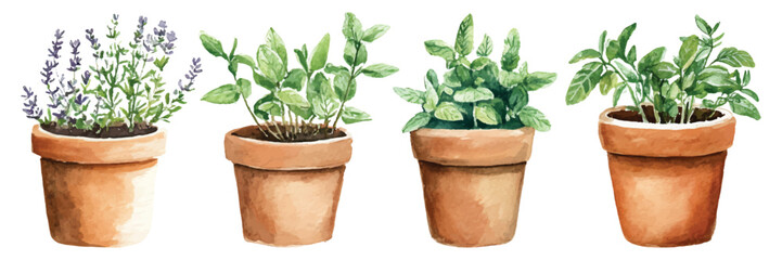 Obraz premium Set watercolor condiment herbs in terracotta pots design resources elements isolated on transparent background