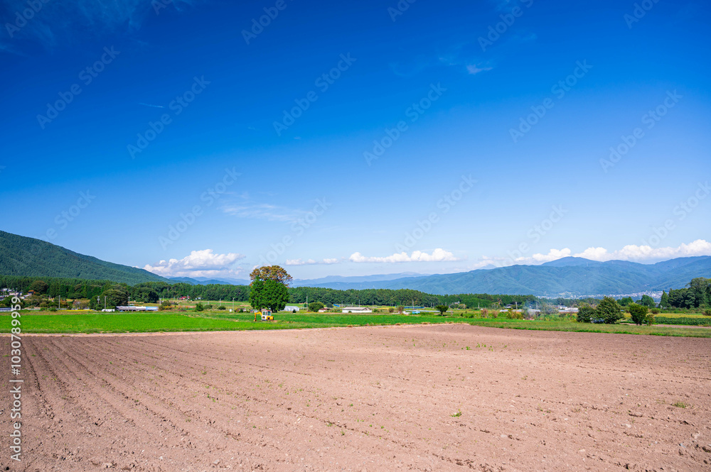 Poster 上伊那郡箕輪町あたりの農地と自然風景