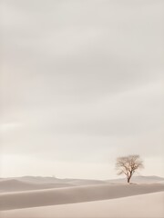 A minimalist landscape with a single tree in a vast, empty space, evoking solitude and simplicity. Perfect for modern, calming interiors.