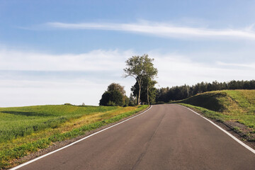 Naklejka premium Asphalt road through field, meadow and forest. Beautiful summer landscape with trees along the roadside. Concept of a journey into the unknown. Scenic countryside background. Sunny day car trip.