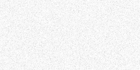 White and black particles dust noise paper texture background and terrazzo flooring texture polished stone pattern. Quartz surface white for bathroom or kitchen sandstone small have mixed sand tile.